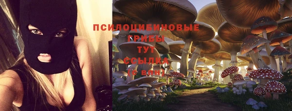скорость Балахна