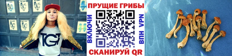 Галлюциногенные грибы мухоморы  Купить закладки  Старая Купавна 